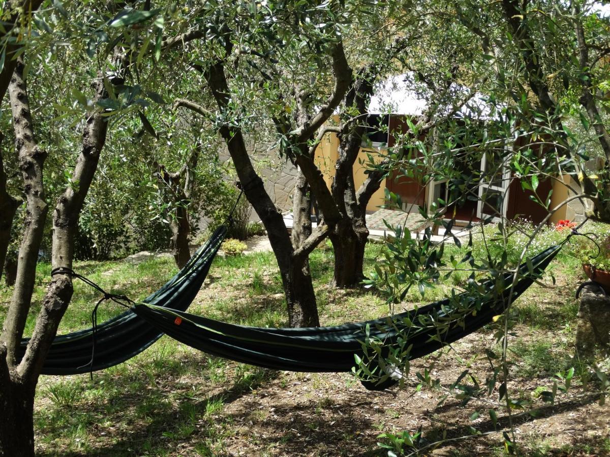 Poggio House, Tranquillita E Comfort Nella Natura San Casciano in Val di Pesa Exterior foto