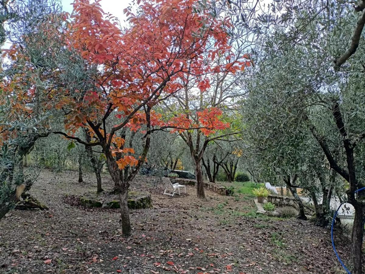 Poggio House, Tranquillita E Comfort Nella Natura San Casciano in Val di Pesa Exterior foto
