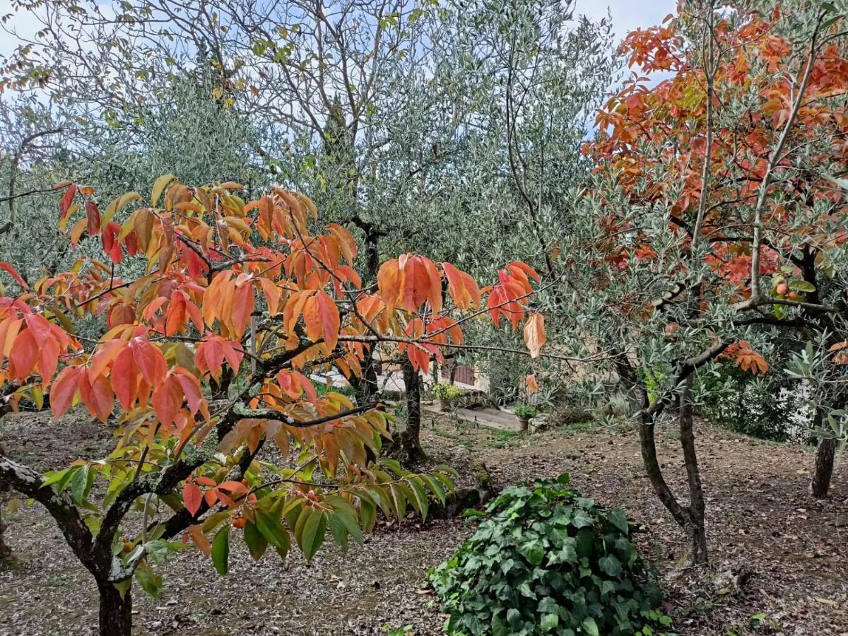 Poggio House, Tranquillita E Comfort Nella Natura San Casciano in Val di Pesa Exterior foto
